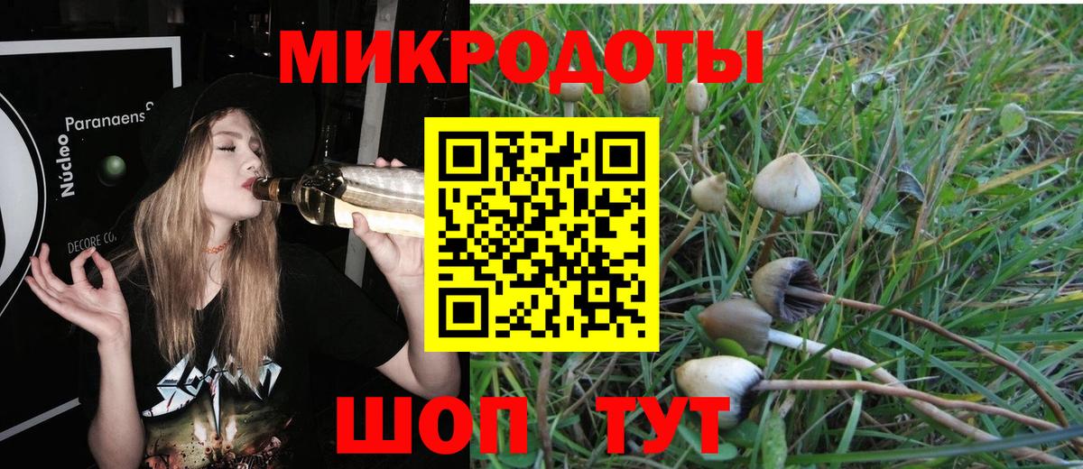 Псилоцибиновые грибы Cubensis  Вход с VPN  Белово  Псилоцибиновые грибы GOLDEN TEACHER 